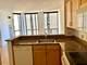 222 N Columbus Unit 2606, Chicago, IL 60601