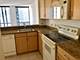 222 N Columbus Unit 2606, Chicago, IL 60601