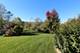 2281 W Forest Cove, Round Lake, IL 60073