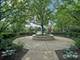 173 S Grove, Elgin, IL 60120