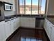 1515 S Prairie Unit 506, Chicago, IL 60605