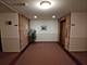 1777 W Crystal Unit 206, Mount Prospect, IL 60056