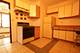 1602 W Summerdale Unit 1, Chicago, IL 60640