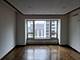 800 N Michigan Unit 2203, Chicago, IL 60611