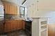 2 E Oak Unit 2209, Chicago, IL 60611