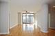 1322 S Prairie Unit 1105, Chicago, IL 60605