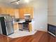 1239 W Ohio Unit 2, Chicago, IL 60642