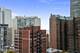 33 E Cedar Unit 17G, Chicago, IL 60611