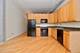 1601 S Michigan Unit 303, Chicago, IL 60616