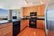 250 E Pearson Unit 2804, Chicago, IL 60611