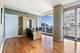 250 E Pearson Unit 2804, Chicago, IL 60611