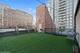 300 W Grand Unit 203, Chicago, IL 60654