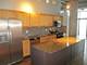 2001 S Calumet Unit 307, Chicago, IL 60616