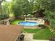 1306 Vinewood, Willow Springs, IL 60480