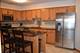 8733 Willow Unit 1D, Willow Springs, IL 60480