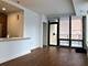 707 N Wells Unit 601, Chicago, IL 60654