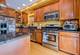 3824 N Paris, Chicago, IL 60634