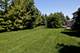 13154 Thelma, Plainfield, IL 60585