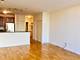 1600 S Prairie Unit 2106, Chicago, IL 60616