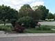 340 Longfellow, Wheaton, IL 60189