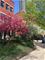 453 N Canal, Chicago, IL 60654