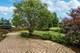 453 Windsor, Oswego, IL 60543