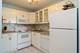 720 W Gordon Unit 11F, Chicago, IL 60613