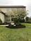 13128 W Yorkshire, Wadsworth, IL 60083