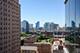 1407 S Michigan Unit 1116, Chicago, IL 60605