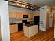 700 W Van Buren Unit 1003, Chicago, IL 60607