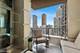 25 E Superior Unit 3605, Chicago, IL 60611