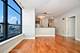 1600 S Prairie Unit 1707, Chicago, IL 60616