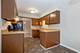 176 Grove Unit C, Des Plaines, IL 60016