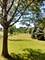 1566 n 43rd, Earlville, IL 60518