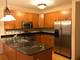 145 S York Unit 432, Elmhurst, IL 60126