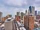 4 E Elm Unit 19S, Chicago, IL 60611