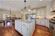 462 Pennsylvania Unit 3S, Glen Ellyn, IL 60137