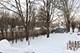 756 Woodland, Palatine, IL 60074