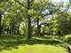 33160 N Cove, Grayslake, IL 60030