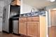 4419 N Lawndale Unit 1A, Chicago, IL 60625