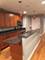 2055 W Farragut Unit G, Chicago, IL 60625