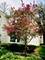 1235 Yorkshire Woods, Wheaton, IL 60189