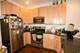 909 W Sheridan Unit 2, Chicago, IL 60613