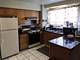 2102 S China Unit B, Chicago, IL 60616