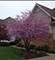 24813 Winterberry, Plainfield, IL 60544