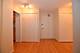 4250 N Marine Unit 1608, Chicago, IL 60613