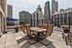 40 E Cedar Unit 18B, Chicago, IL 60611