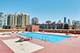 501 N Clinton Unit 3203, Chicago, IL 60654