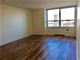 720 W Gordon Unit 18F, Chicago, IL 60613