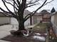 2522 Elmwood, Berwyn, IL 60402